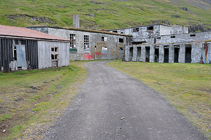 haringfabriek in de Ing&oacute;lfsfj&ouml;r&eth;ur